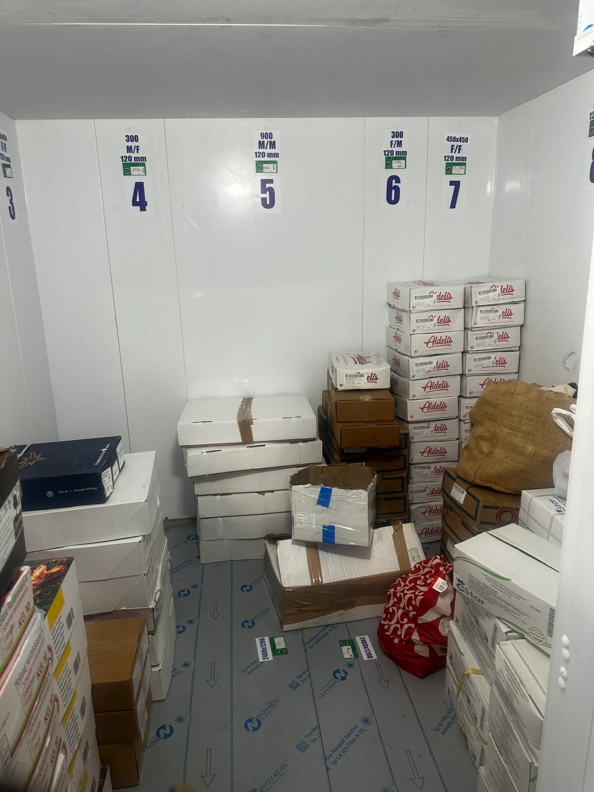 TEGA AFRO STORE cold room stocked with boxes of frozen foods